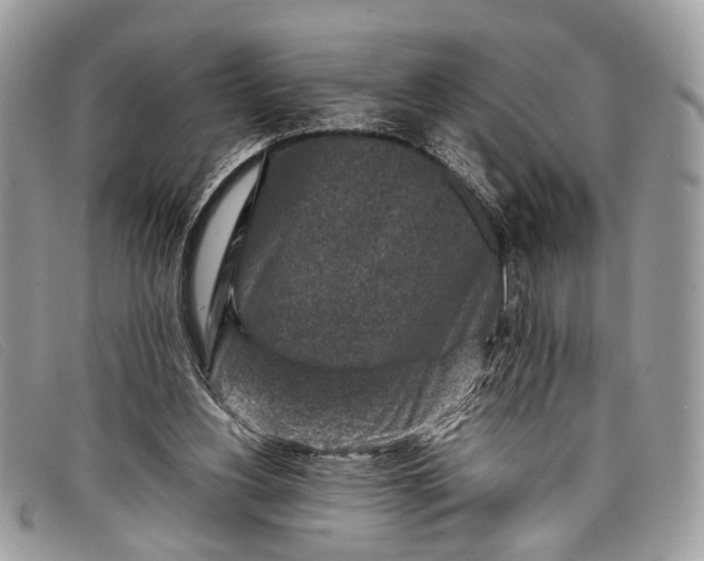 X0000098020156200804111306