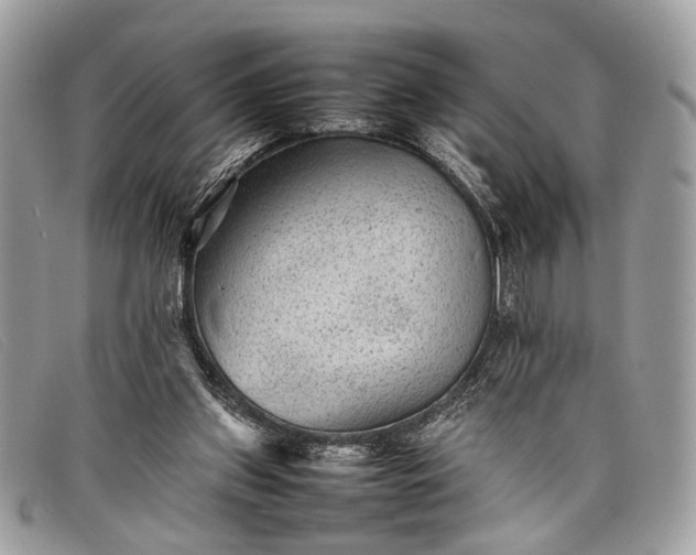 X0000098020157200804111306