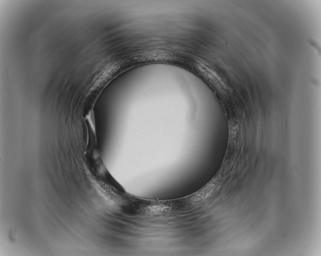 X0000098020158200804111307