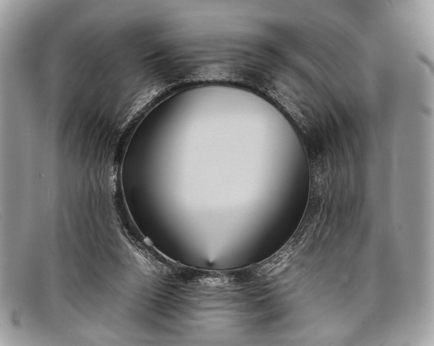 X0000098020160200804111307