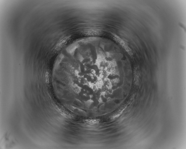 X0000098020161200804111307