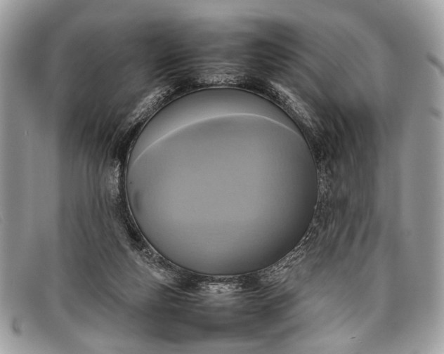 X0000098020163200804111307