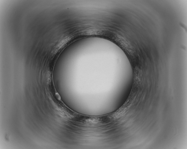 X0000098020164200804111307