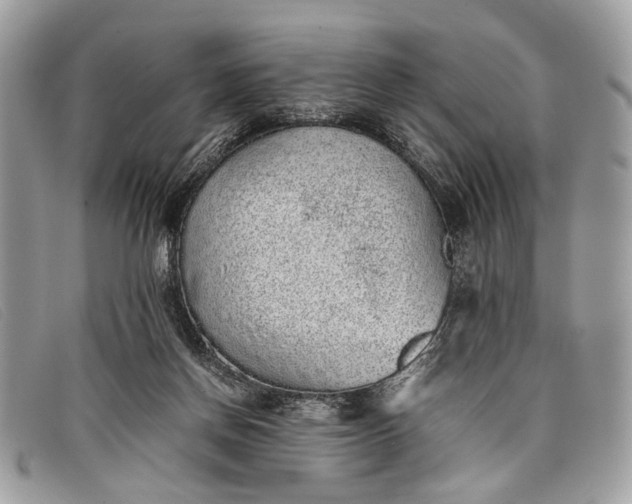 X0000098020166200804111307