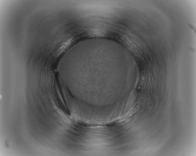 X0000098020168200804111307