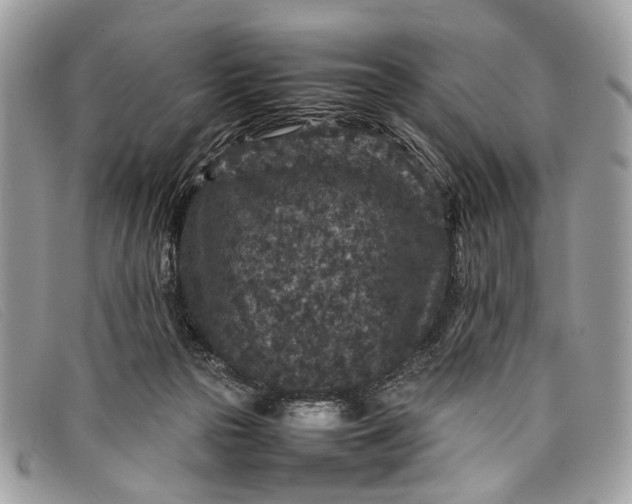 X0000098020169200804111307