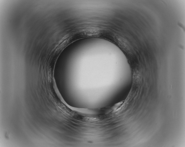 X0000098020170200804111307