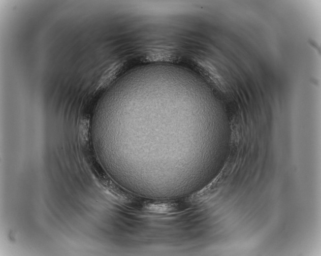 X0000098020171200804111307