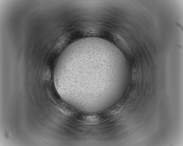 X0000098020173200804111307