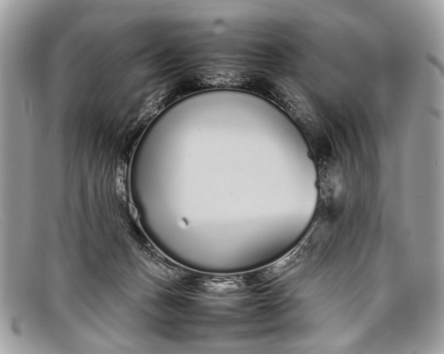 X0000098020175200804111307