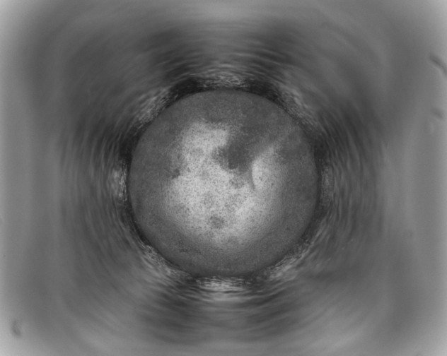 X0000098020177200804111307