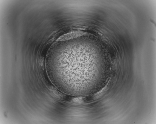 X0000098020178200804111307