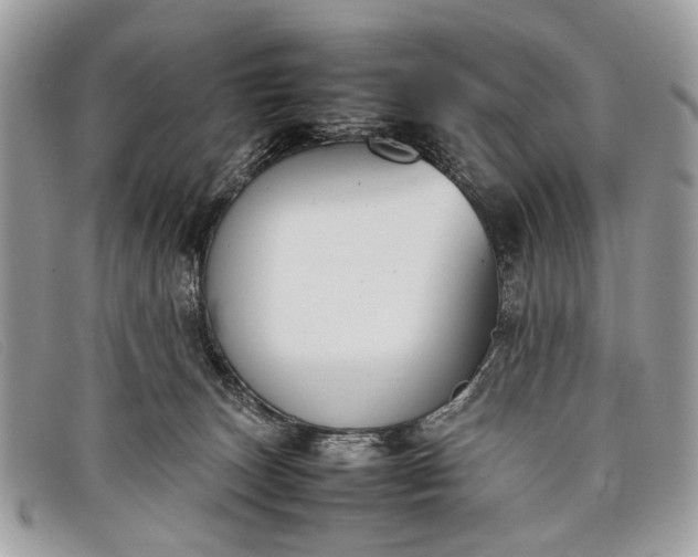 X0000098020179200804111307