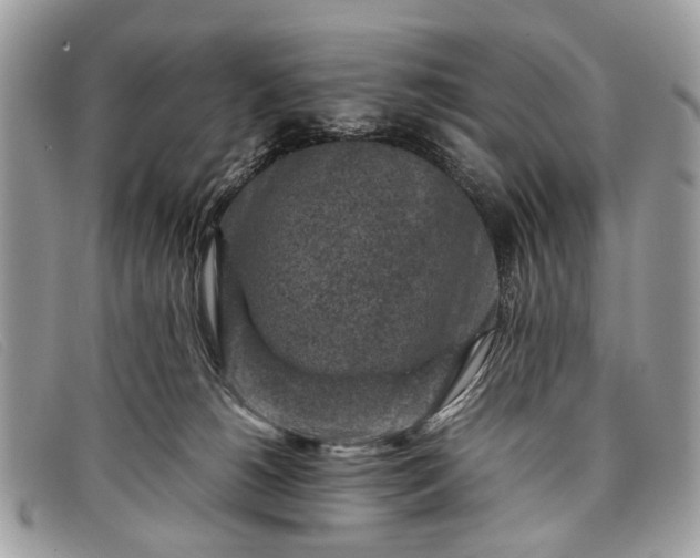 X0000098020180200804111307