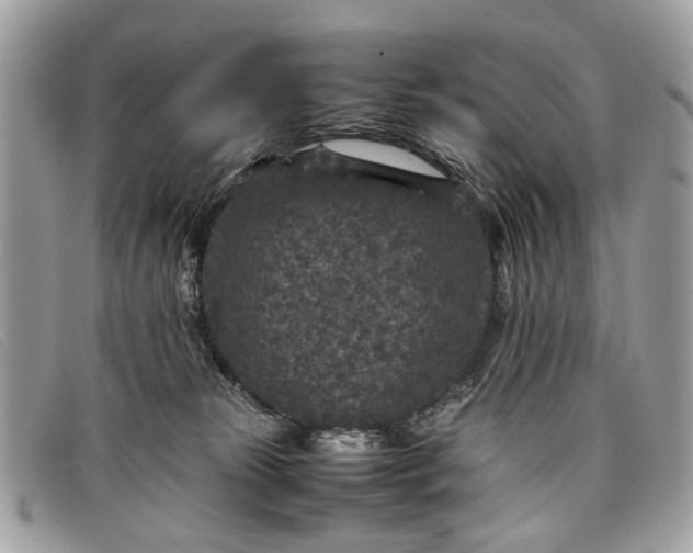 X0000098020181200804111307