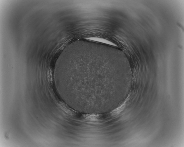 X0000098020182200804111307