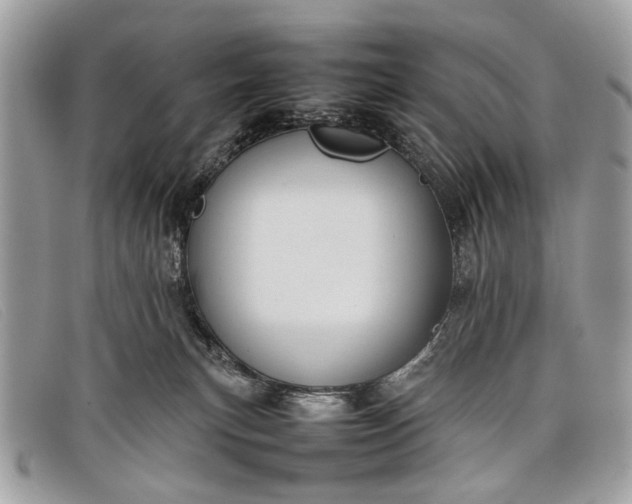 X0000098020183200804111307