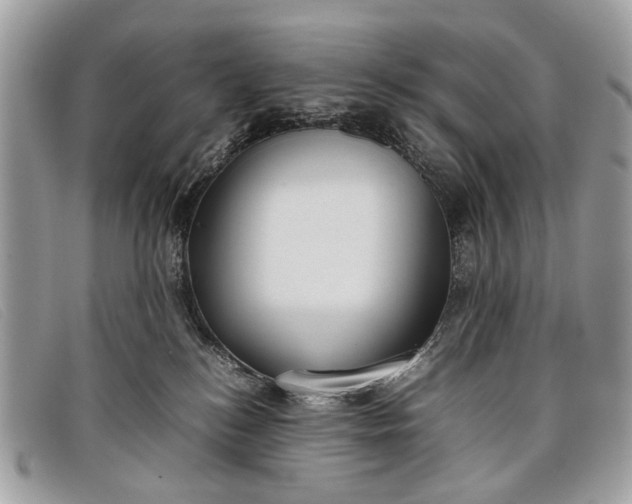 X0000098020184200804111307