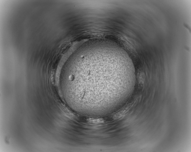 X0000098020185200804111307