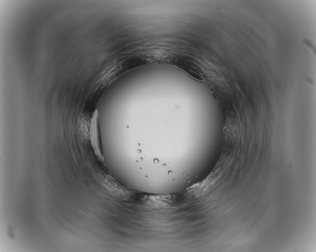 X0000098020188200804111307