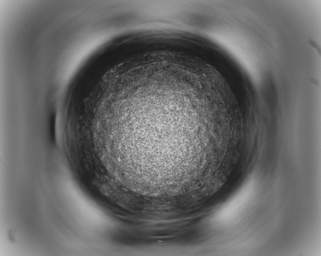 X0000098020189200804111307