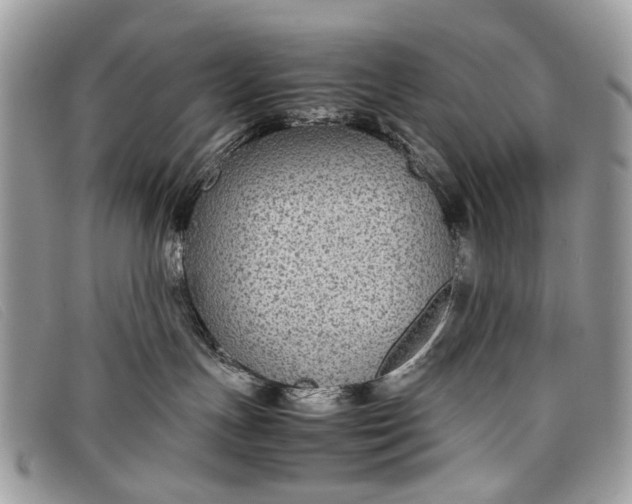 X0000098020191200804111307