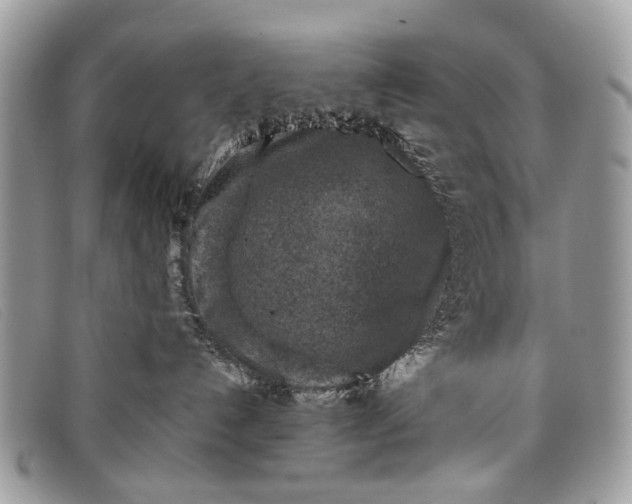 X0000098020192200804111307