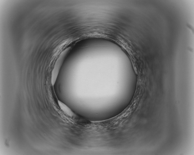 X0000098020193200804111306