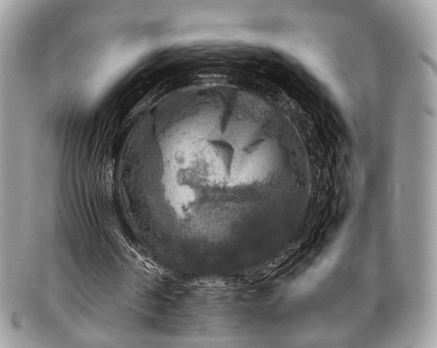 X0000098020194200804111306