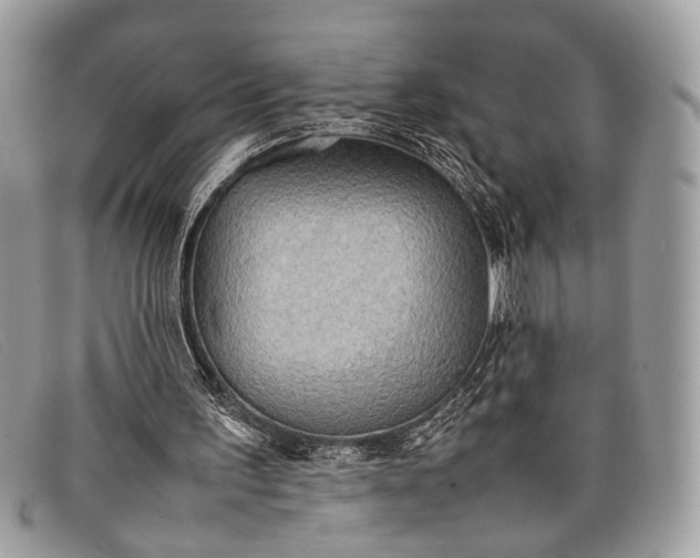 X0000098020195200804111306