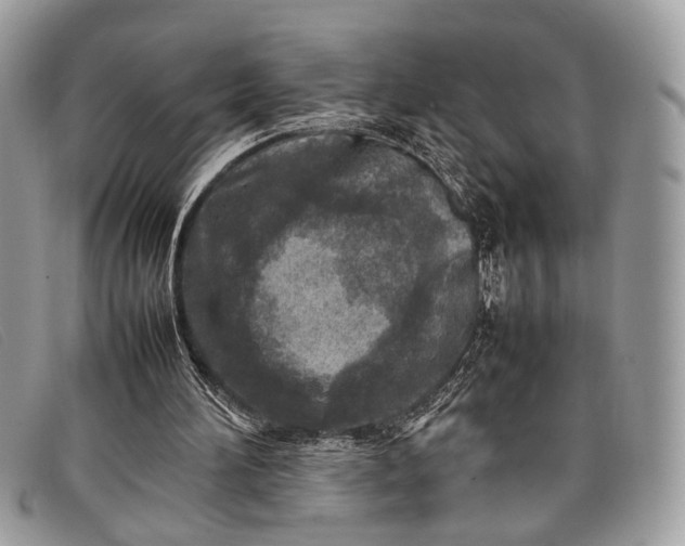 X0000098020196200804111306