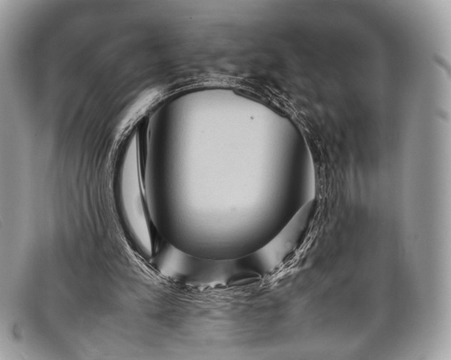 X0000098020197200804111306