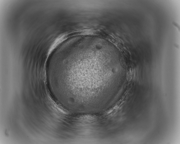 X0000098020198200804111306