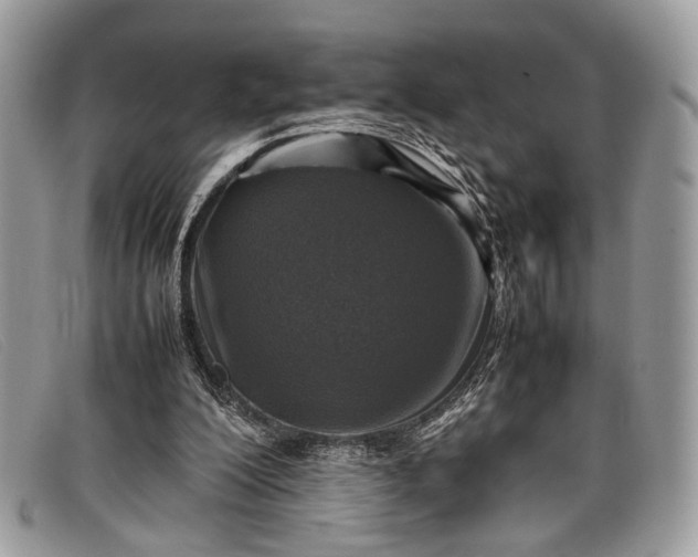 X0000098020200200804111306