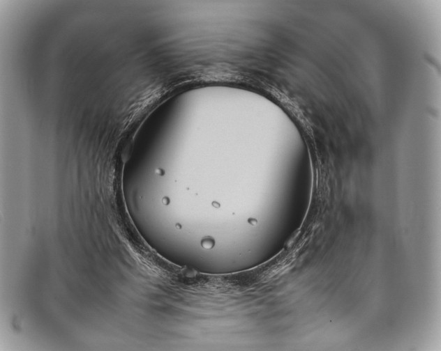 X0000098020201200804111306