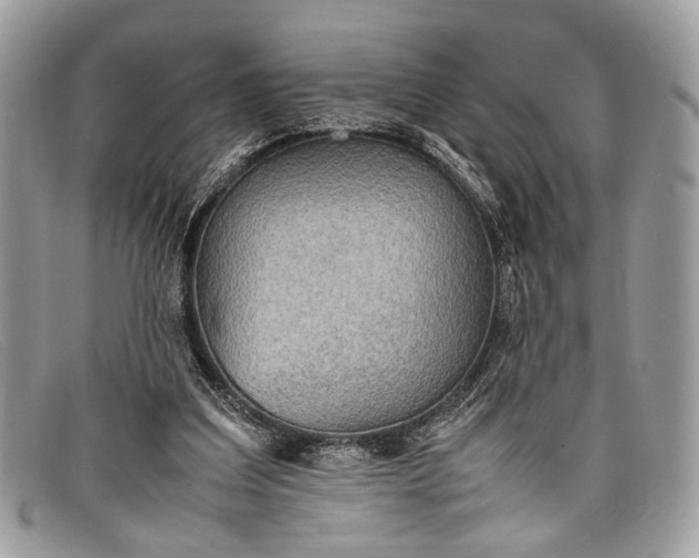 X0000098020203200804111306