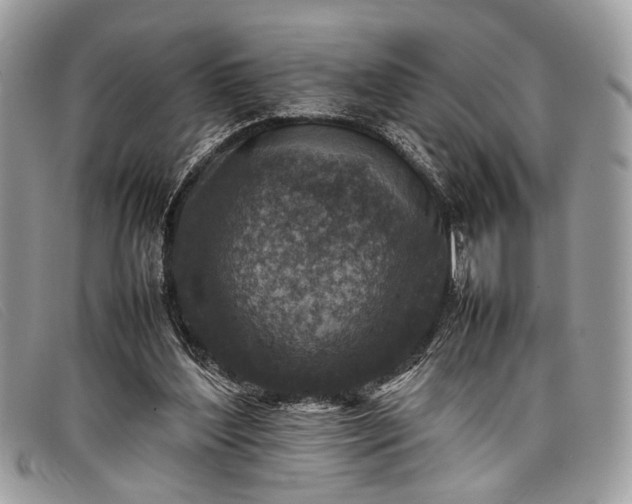 X0000098020204200804111306