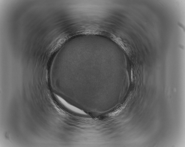 X0000098020205200804111306