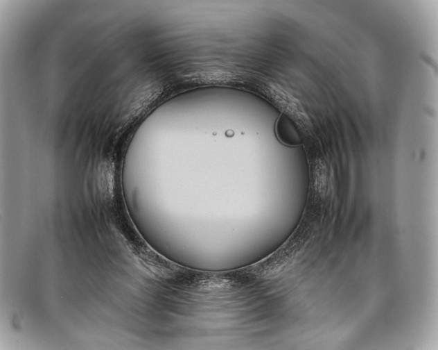 X0000098020206200804111306