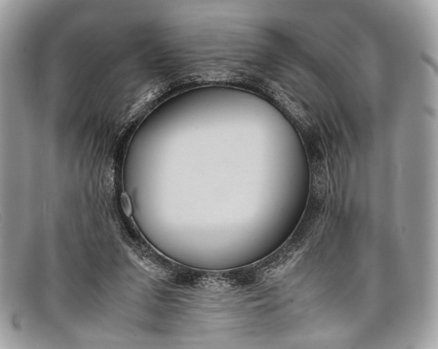 X0000098020207200804111306