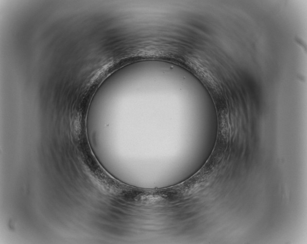 X0000098020208200804111306