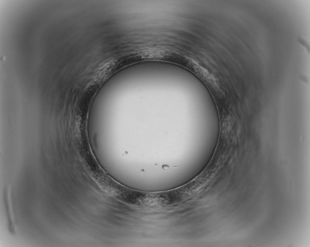 X0000098020209200804111306