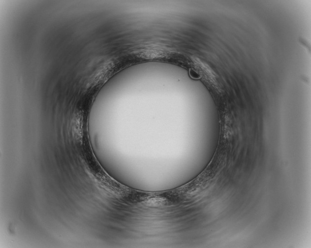 X0000098020210200804111306