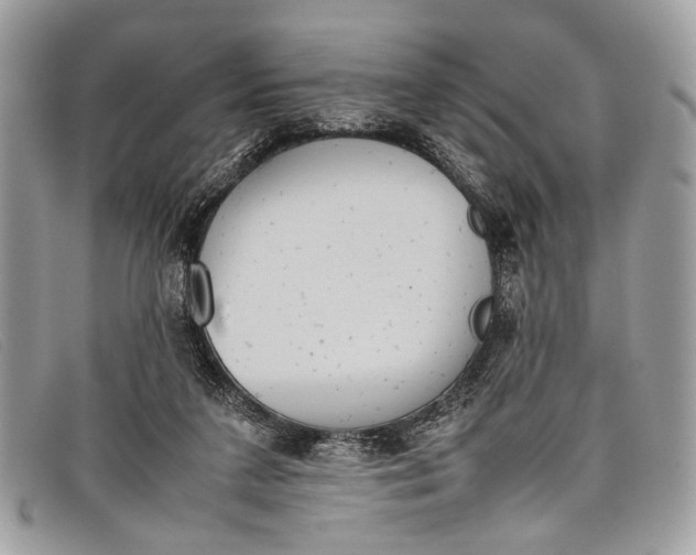 X0000098020211200804111306