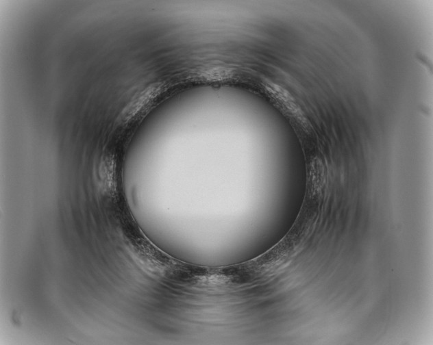 X0000098020212200804111306