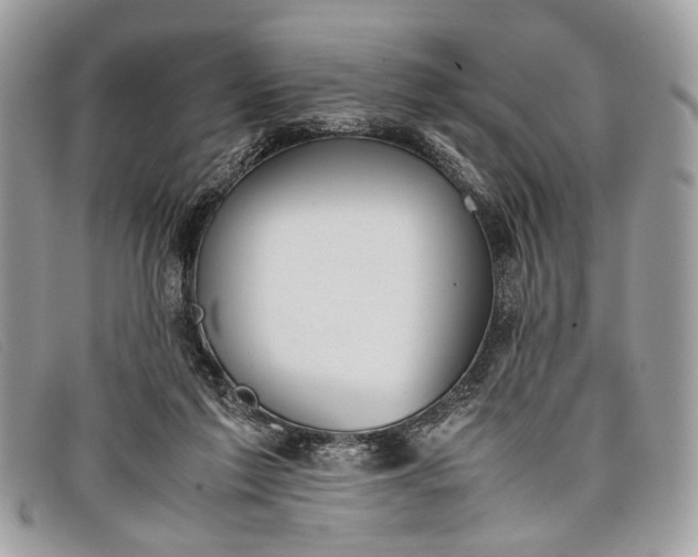 X0000098020213200804111306