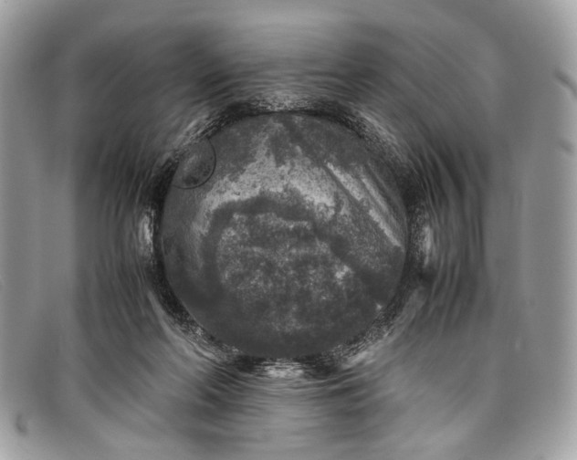 X0000098020214200804111306