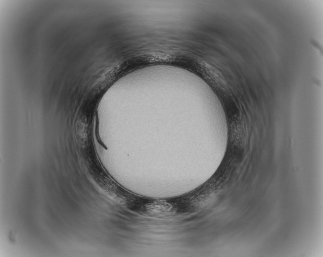 X0000098020215200804111306