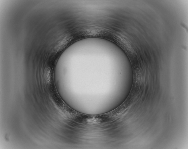 X0000098020216200804111306