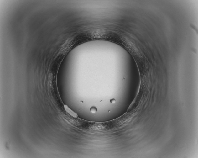 X0000098020217200804111306